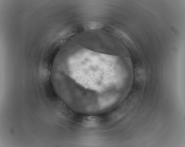 X0000112860324200910021317