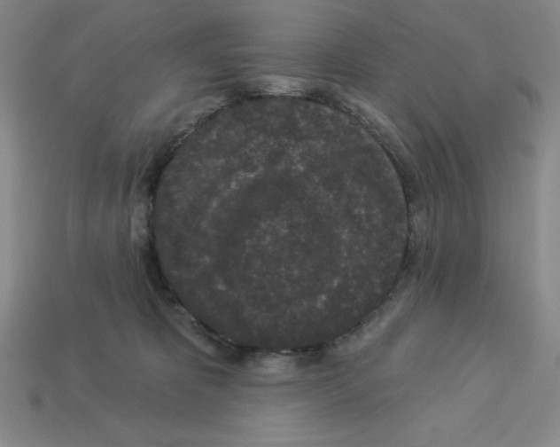 X0000112860325200910021317