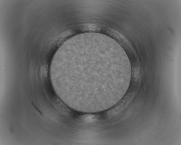 X0000112860326200910021317