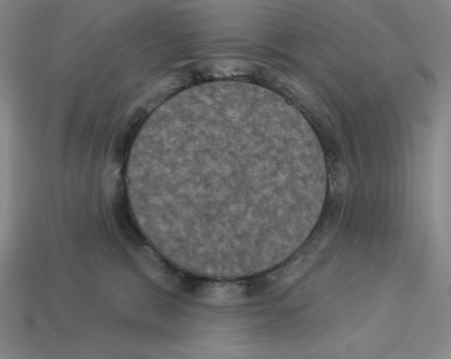 X0000112860327200910021317