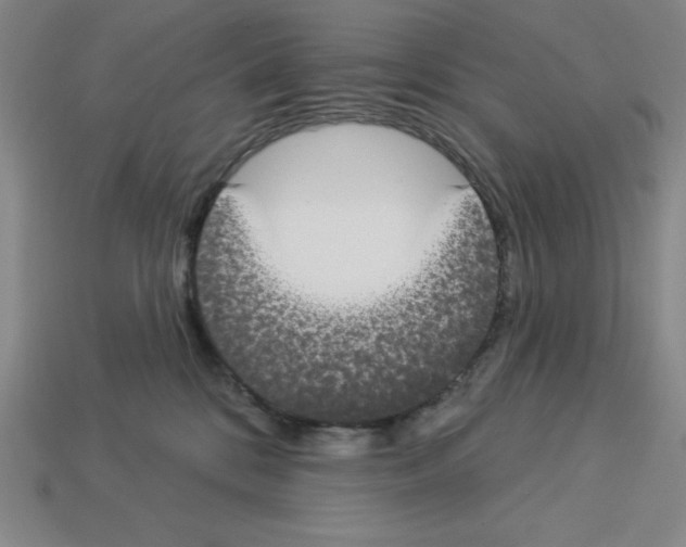 X0000112860328200910021317