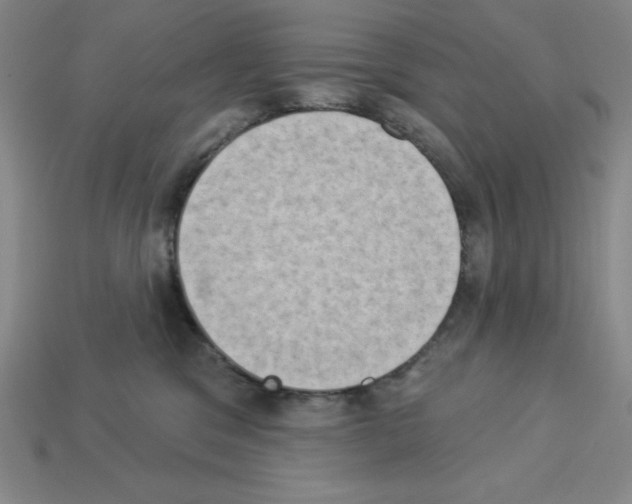 X0000112860329200910021317