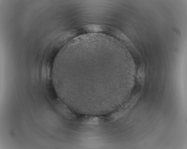 X0000112860330200910021317