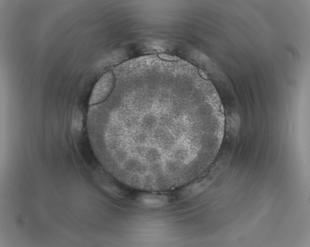 X0000112860331200910021317