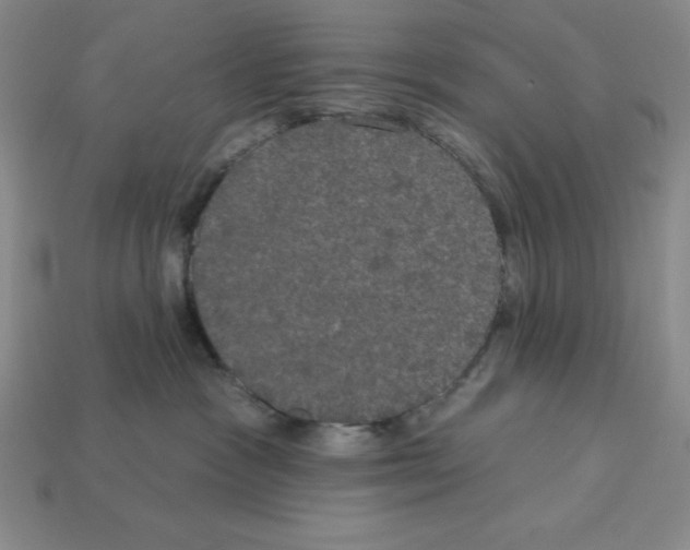 X0000112860333200910021317