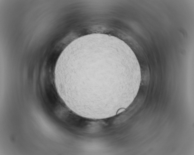 X0000112860334200910021317