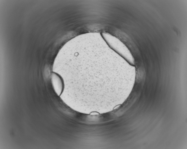 X0000112860335200910021317