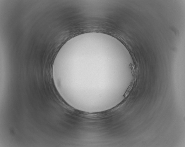 X0000112860336200910021317