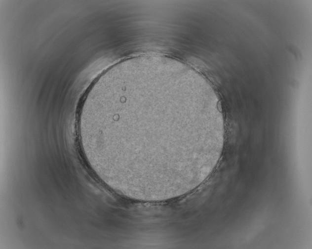 X0000112860338200910021316