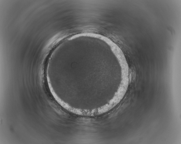 X0000112860339200910021316