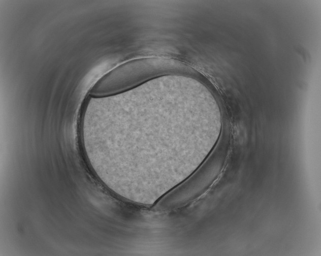 X0000112860340200910021316
