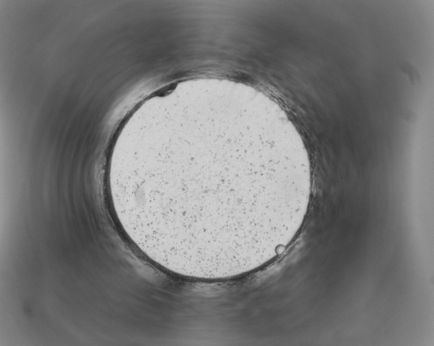 X0000112860341200910021316