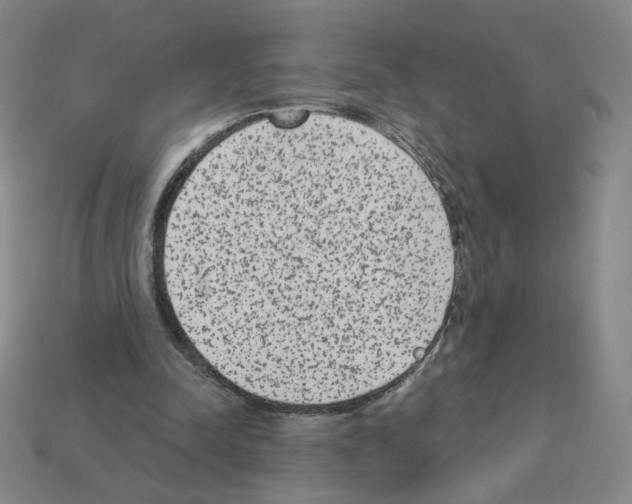 X0000112860342200910021316
