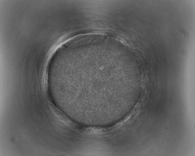 X0000112860343200910021316
