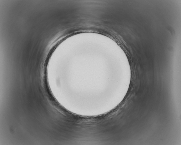 X0000112860344200910021316