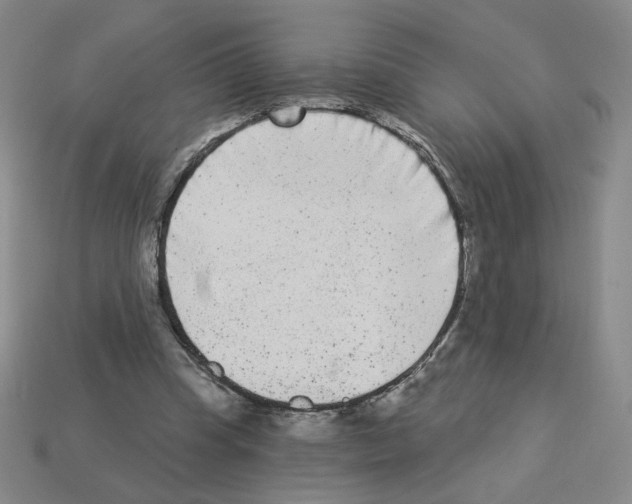 X0000112860345200910021316