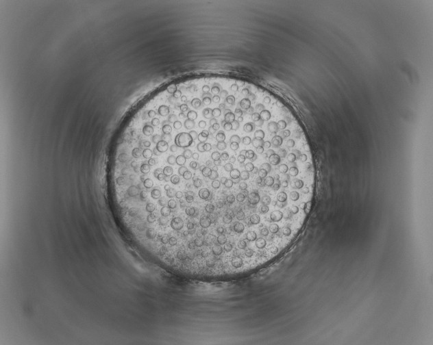 X0000112860346200910021316