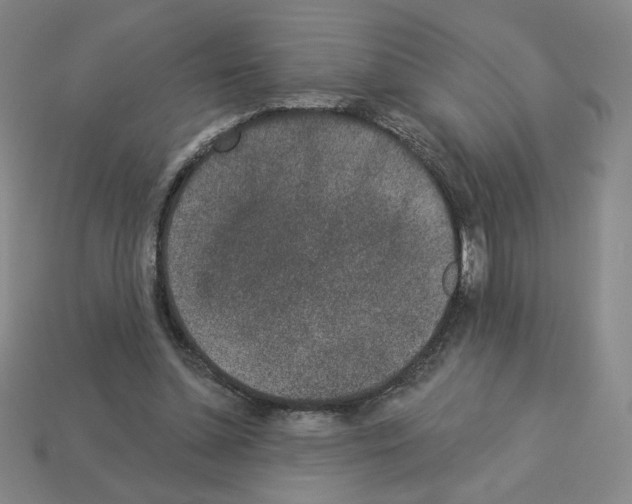 X0000112860348200910021316