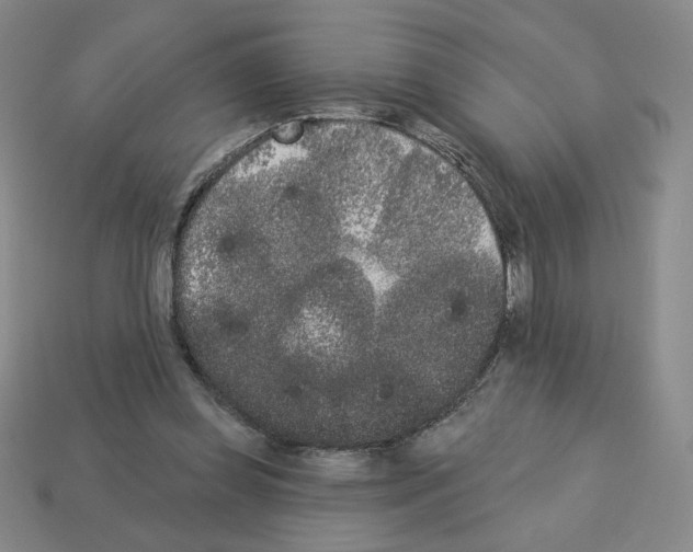X0000112860349200910021316