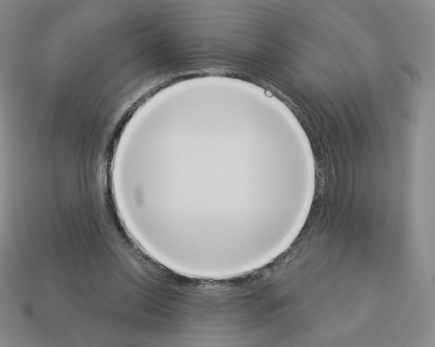 X0000112860350200910021316