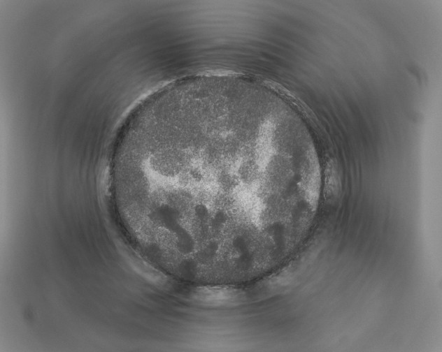 X0000112860351200910021316
