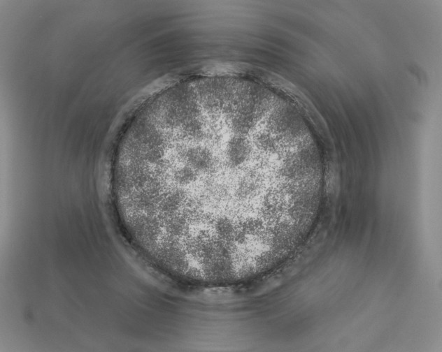 X0000112860353200910021316