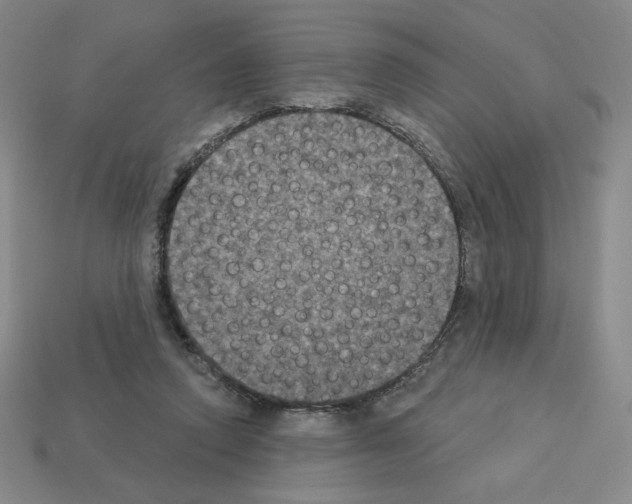 X0000112860354200910021316