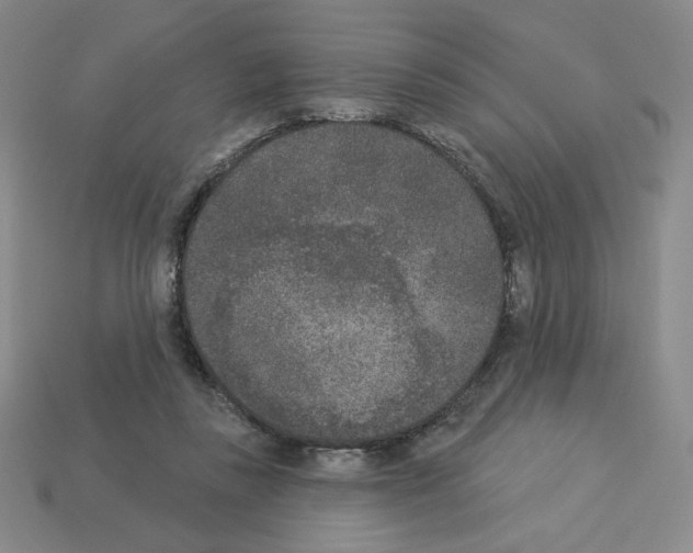 X0000112860355200910021316