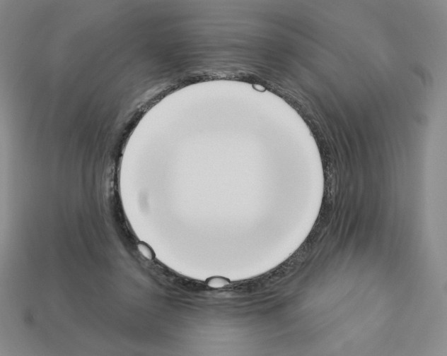 X0000112860356200910021316