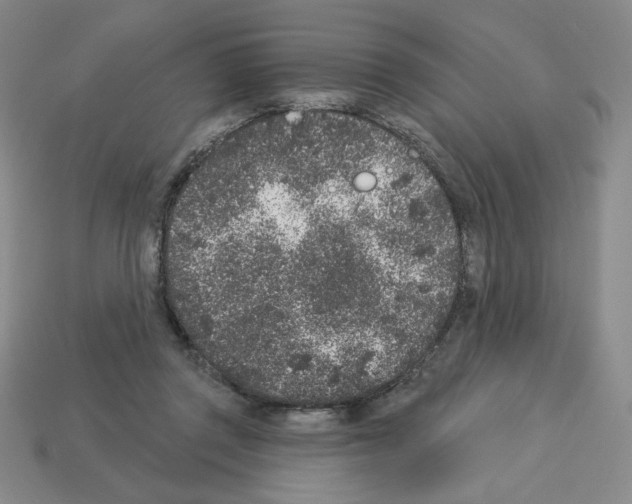 X0000112860357200910021316