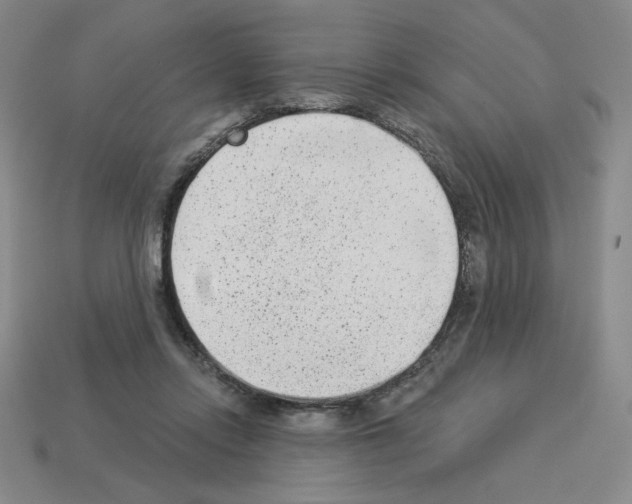 X0000112860358200910021316