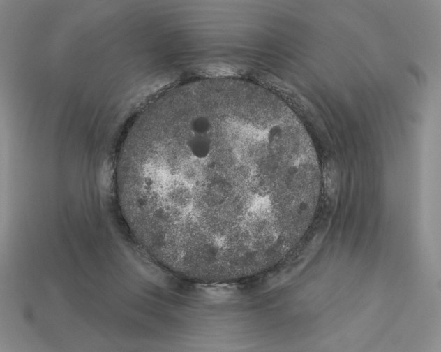X0000112860359200910021316