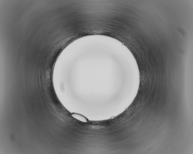 X0000112860360200910021316