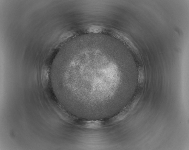 X0000112860363200910021316