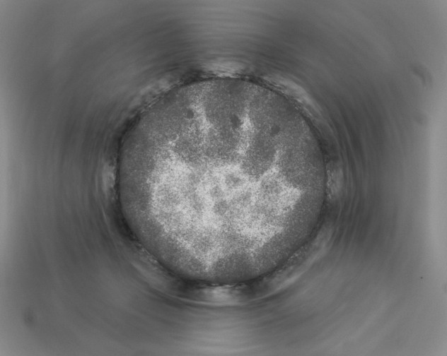X0000112860365200910021316