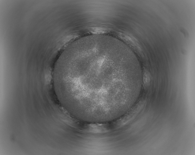 X0000112860367200910021316