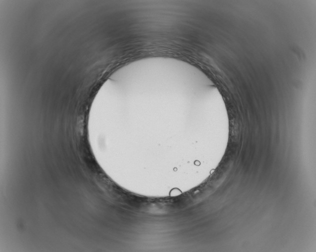 X0000112860368200910021316