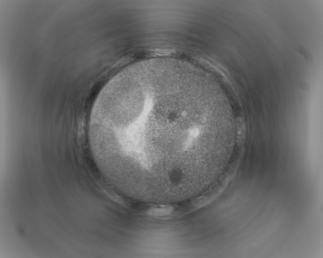 X0000112860369200910021316