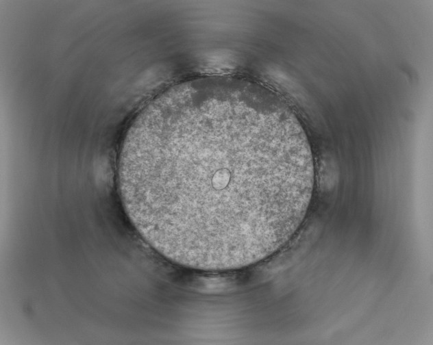 X0000112860370200910021316