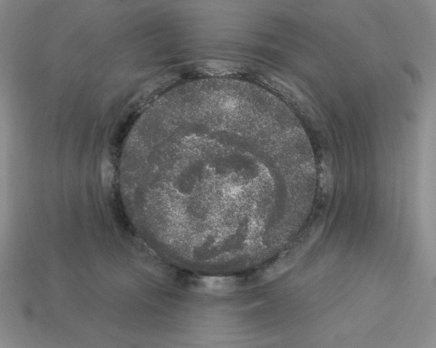 X0000112860371200910021316