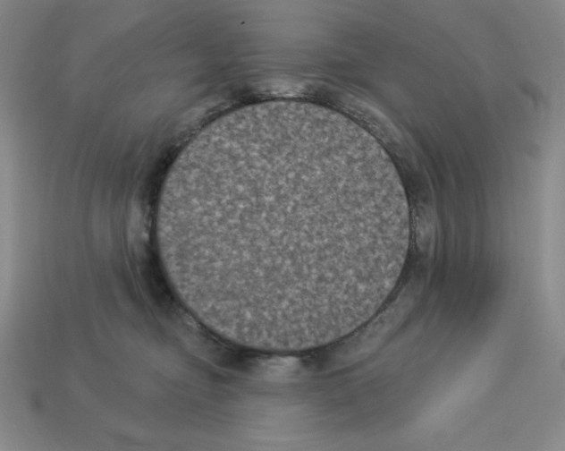 X0000112860374200910021317