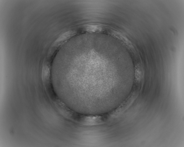 X0000112860375200910021317