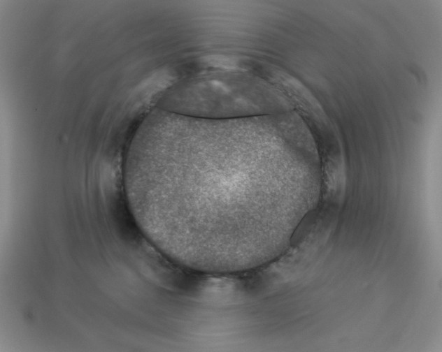 X0000112860376200910021317