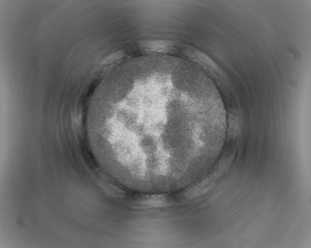 X0000112860377200910021317
