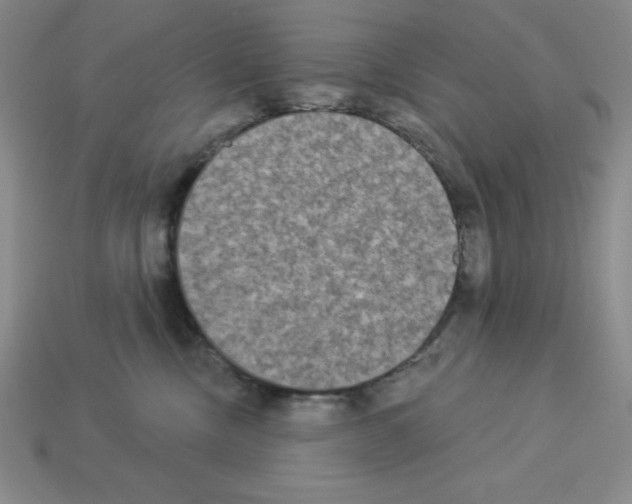 X0000112860378200910021317