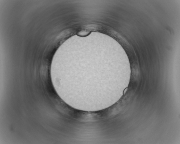X0000112860379200910021317