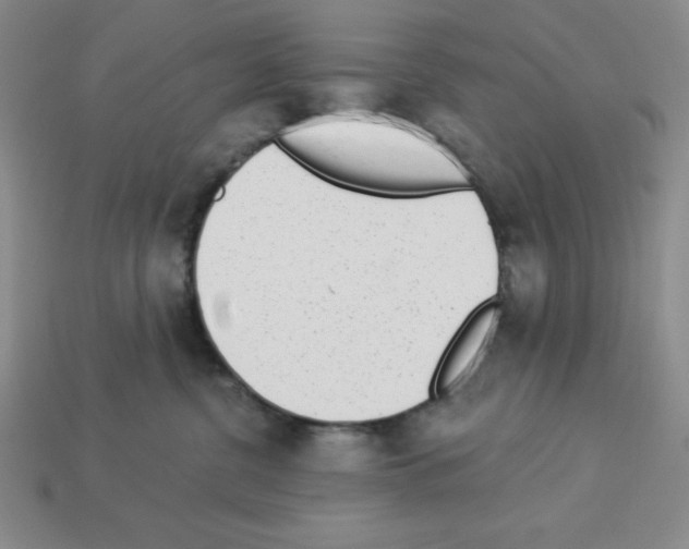 X0000112860380200910021317