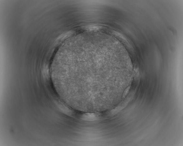 X0000112860381200910021317