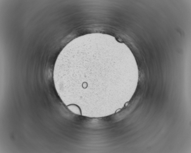 X0000112860382200910021317