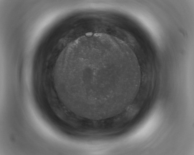 X0000112860383200910021317